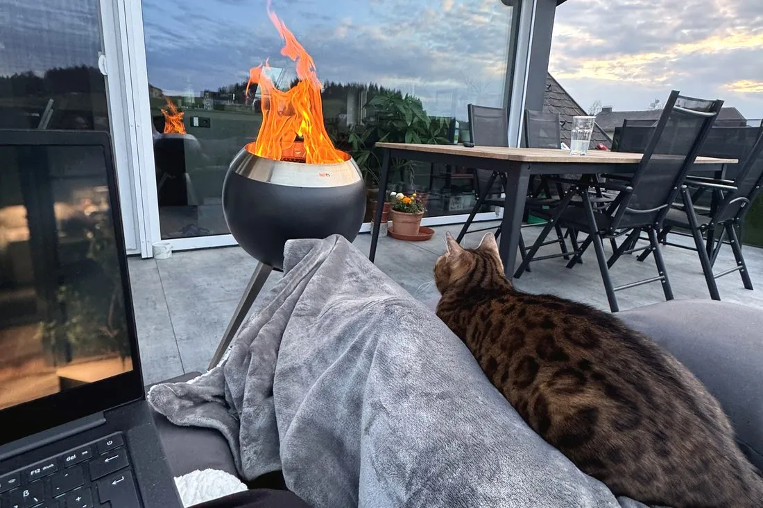 Abends auf der Terrasse — Bengalkatze, Alltag