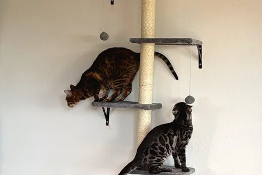 Höhe ist keine Empfehlung, sondern eine Bedingung.