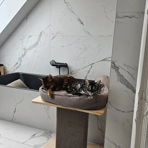 Platz wäre auch woanders gewesen.