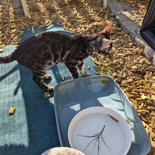 Draußen schmeckt das Wasser besser.